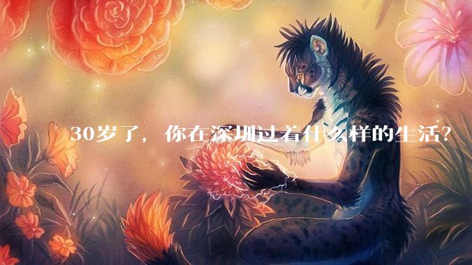 30岁了，你在深圳过着什么样的生活？