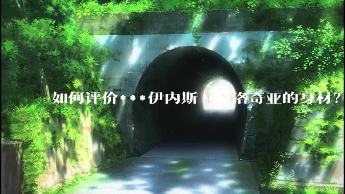 如何评价***伊内斯·特洛奇亚的身材？