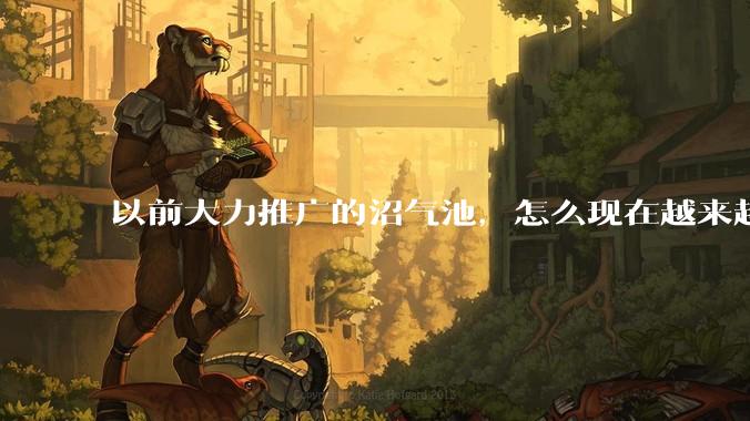 以前大力推广的沼气池，怎么现在越来越少了？