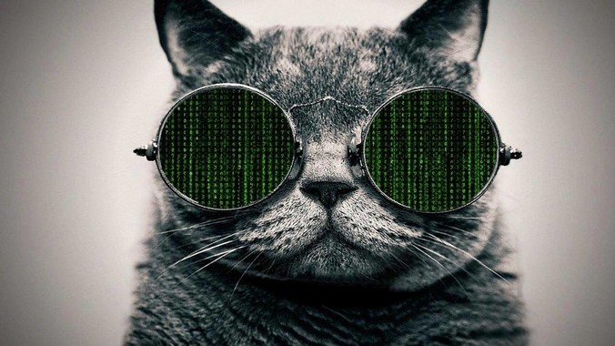 5 月 28 日 DeepSeek R1 模型完成小版本试升级并开源，具体有哪些提升？使用体验如何？